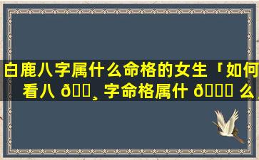 白鹿八字属什么命格的女生「如何看八 🌸 字命格属什 💐 么」